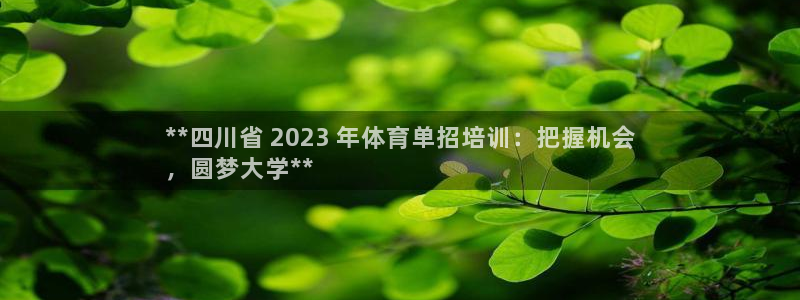 富联平台用户登陆不上：**四川省 2023 年体育单